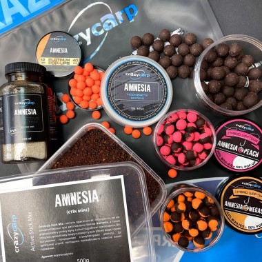 Програма Amnesia