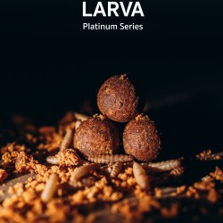  Програма Larva