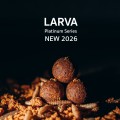  Програма Larva