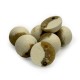 The Nutz & Coconut Hybrid Wafters - 12 мм