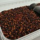 Black Currant & Bloodworm: Method & Stick Mix (2в1)