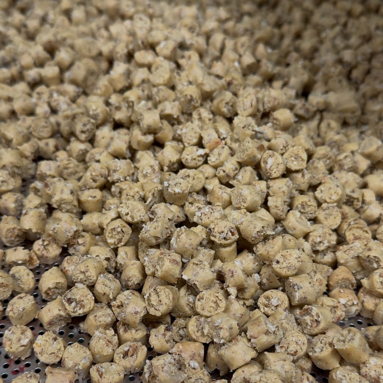Tiger Nut Granules (варені) 10 мм - 5 кг - Tiger Nut Granules