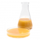 Tiger Nut Extract